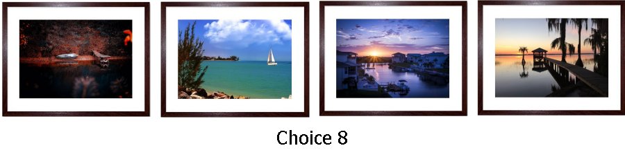 Choice Framed Prints
